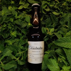 Kombucha Tea - Mint Flow