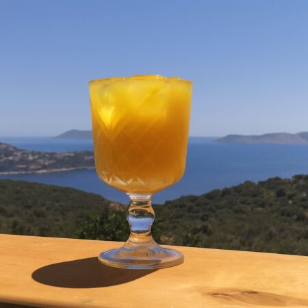 Fresh Orange Juice